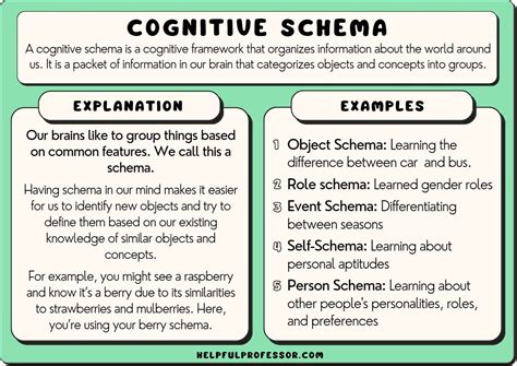 15 Schema Examples In Learning Psychology 2024 How Schema Makes