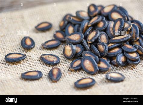 Watermelon Seeds On Sack Close Up Dried Watermelon Seed With Salt For