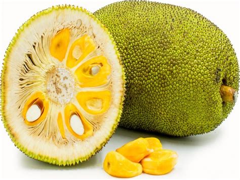 फणस बनले केरळचे राज्यफळ Marathi News Jackfruit Declared Keralas