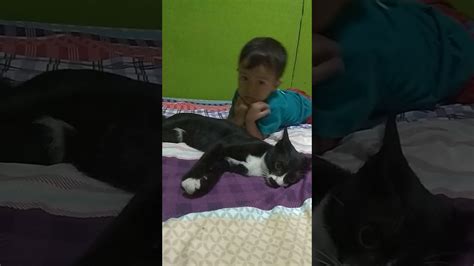 Bermain Sama Kucing Yang Gak Bisa Bersuara Meong Meong Kucing YouTube