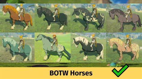 Botw Horses Stats Guide For Beginners Game Specifications