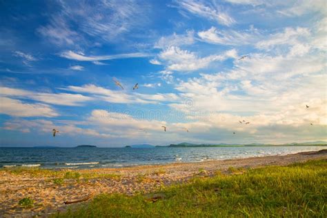 Bright Golden Sunset On The Beach The Waves On The Sand Shells Stock