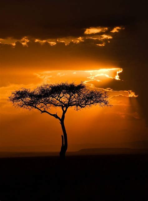 Masai Mara Sunset Kenya Beautiful Nature Nature Landscape