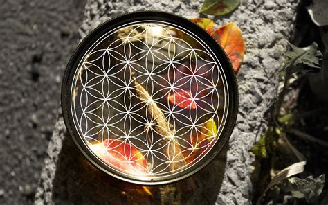 Flower Of Life Wallpapers 64 Images