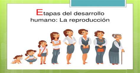 Las Etapas Del Desarrollo Humano Ppt Powerpoint Porn Sex Picture