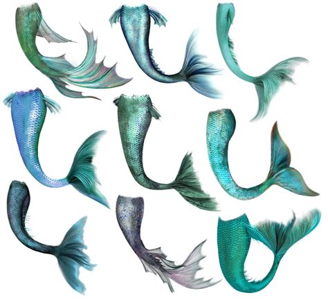 Mermaid Pyrstö Fish Tail Mermaid Png Download 640587 Free