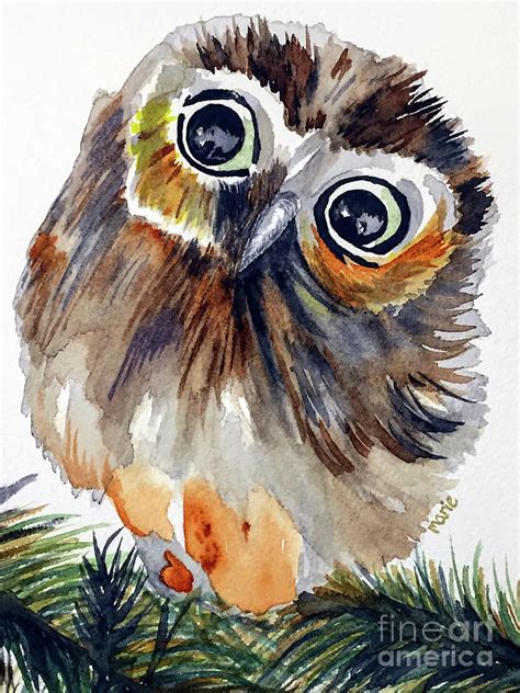 Baby Owl Painting By Marie Dudek Brown Fine Art America