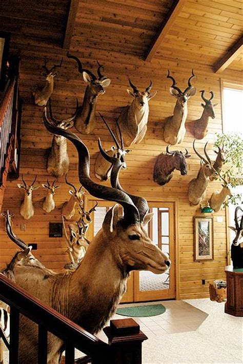 Hunting Room Design Taxidermy Decor Deer Head Wall Decor