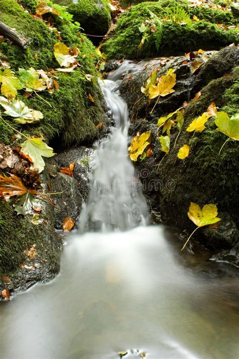 Waterfall In Autumn Stock Photo Image Of Drops Cave 78386736