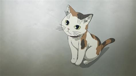 Top Best Anime Cats Most Popular Of All Time