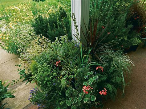 Maybe you would like to learn more about one of these? Defining the New American Cottage Garden - FineGardening