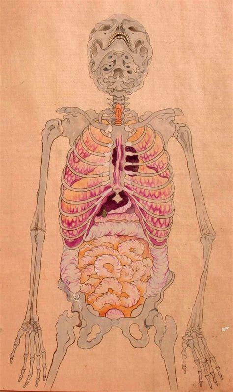 Classic human anatomy in motion: Anatomical illustrations from Edo-period Japan | kilometer ...