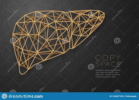 Liver Shape Wireframe Polygon Golden Frame Structure Medical Science