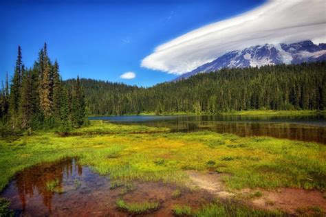 Usa Parks Scenery Forests Lake Grass Mount Rainier National