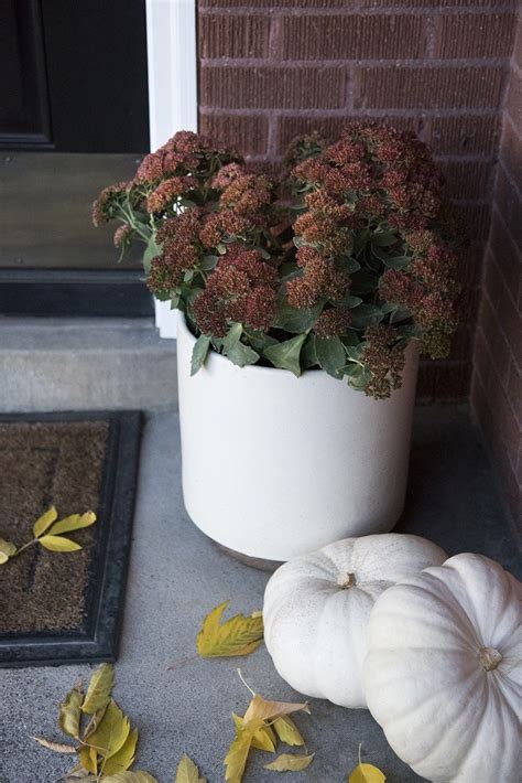 We did not find results for: Staging Your Home To Sell - Room for Tuesday Blog | Fall ...