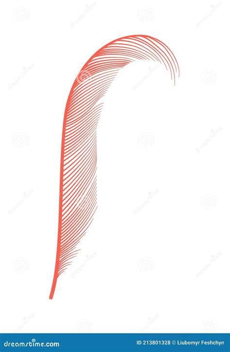 Coral Detailed Feathers Of Bird Collection Vector Decorative Fluffy