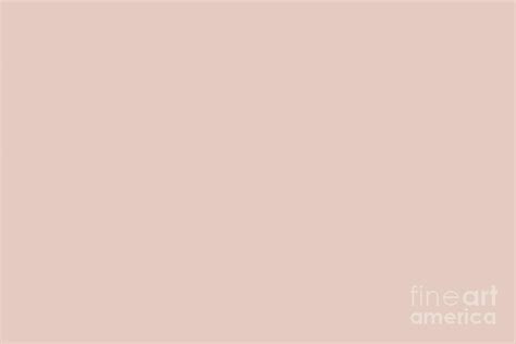 Pastel Coral Pink Solid Color Accent Shade Pairs Sherwin Williams