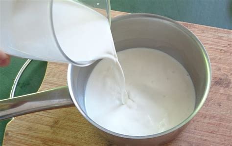 Pudding mit Sahne und Vanille selber machen leichtes Rezept