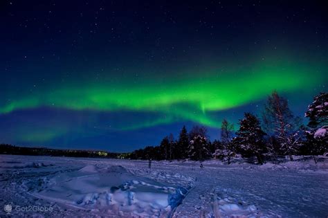 Auroras Boreais Lapónia Em Busca Da Raposa De Fogo Finlândia