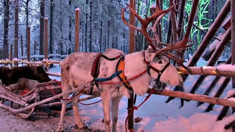 World's Top 10 Best Places to Celebrate Christmas - YouTube