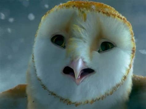 Zack Snyder Talks Legend Of The Guardians The Owls Of Gahoole