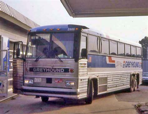 Greyhound Showbus International Bus Image Gallery Usa