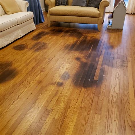 Refinishing Hardwood Floors With Pet Stains Options For Fixing