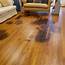 Refinishing Hardwood Floors With Pet Stains  Options For Fixing