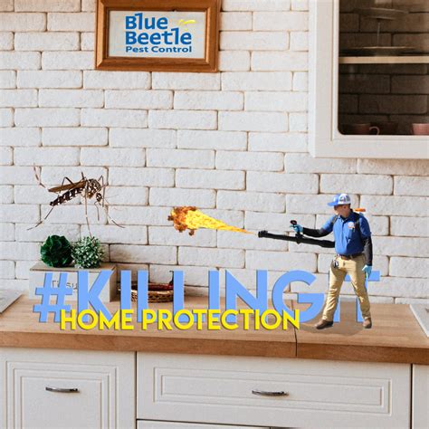 Have no fear, blue beetle is here! Blue Beetle Pest Control Main Street Kansas City Mo | Pest ...
