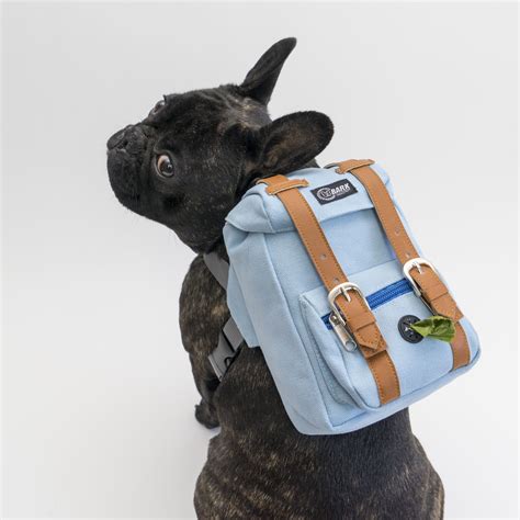 Are You Ready Yet Dad Diy Dog Backpack Dog Backpack Dog Backpack