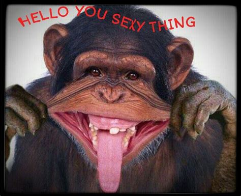 Monkey Sticking Out Tongue Meme