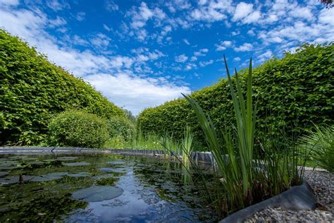 Free Photo Zoom Background Green Landscape Nature Sky Pond Max Pixel