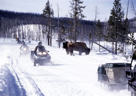 What Should You Know About Snowmobiling In Yellowstone Travel Tips