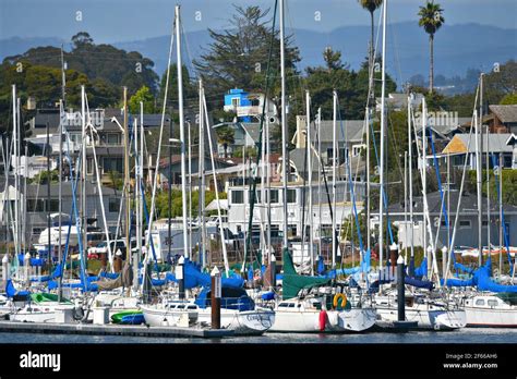 Landscape With Sailing Boats At The Santa Cruz Harbor Yacht Club In