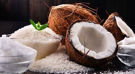 What human food can cats eat, and what not to feed cats. Can Cats Eat Coconut? What About Coconut Milk or Water?