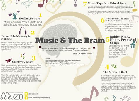 Muzo Infographic Music And The Brain