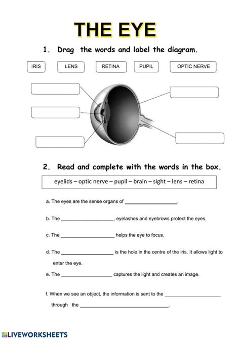 An Eye Worksheet With The Words In English And Spanish On Top Of It