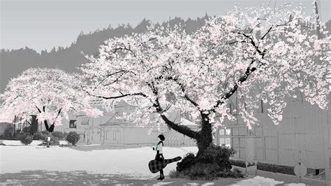 Cherry Blossom Tree Wallpaper 60 Images