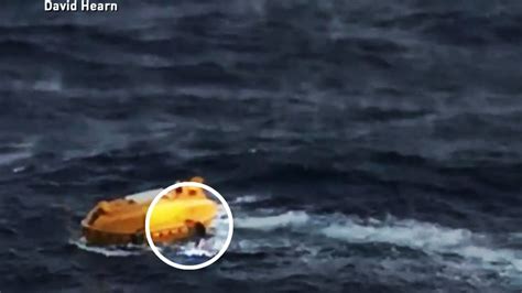 Video Of Man Overboard Rescued After Fall From Cruise Ship Youtube