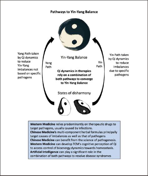 Pathways To Yin Yang Balance Download Scientific Diagram