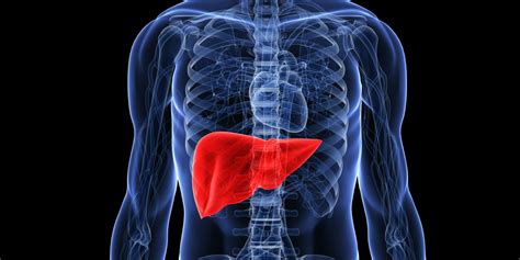 Liver Pain Causes And Symptoms Of Liver Pain