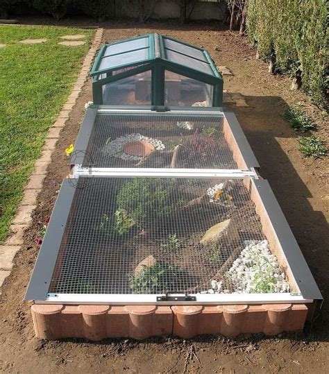Pin On Outdoor Tortoise Enclosure