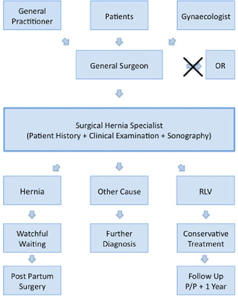 Algorithm For The Diagnostic Work Up And Further Treatment Of Suspected