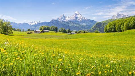 Springtime Alpine Meadows In The Alps National Park Berchtesgadener