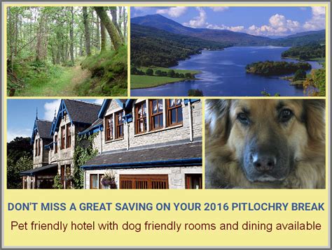 Access to 1000's of holidays & rentals where pets are welcome. Pet Friendly Hotels Scotland: Rosemount, Pitlochry ...