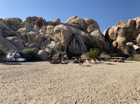 Indian Cove Campground In Joshua Tree Np Camping