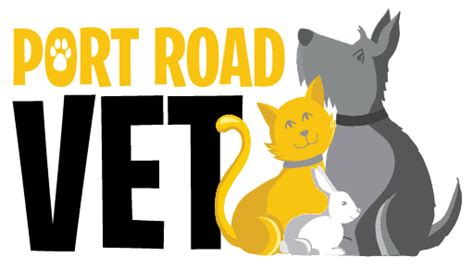Vets For Small Pets Near Me / Langford Vets Rabbits Small Furries