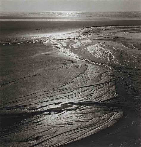 Ruth Bernhard Oregon Coast 1968 MutualArt