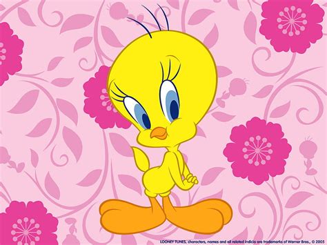 1366x768px 720p Free Download Tweety Bird Bird Looney Tunes
