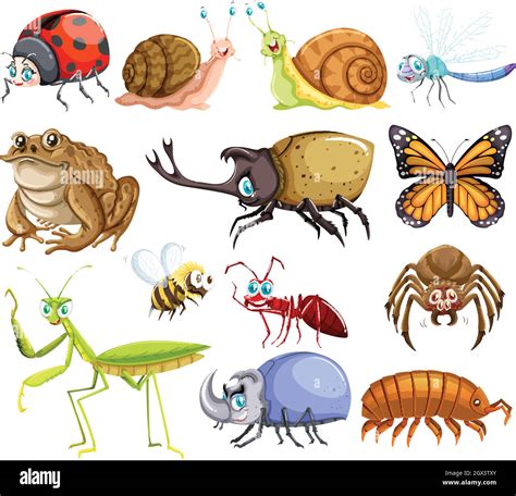 Bugs Stock Vector Images Alamy